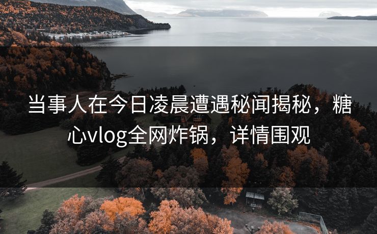 当事人在今日凌晨遭遇秘闻揭秘，糖心vlog全网炸锅，详情围观