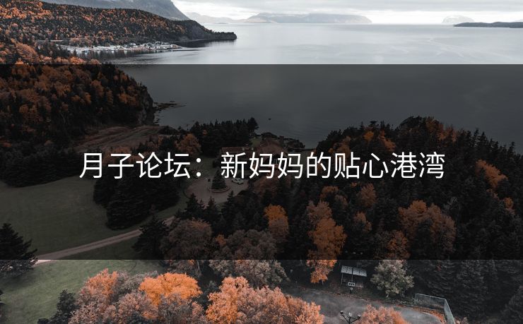 月子论坛：新妈妈的贴心港湾