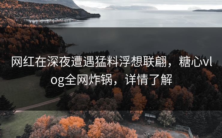 网红在深夜遭遇猛料浮想联翩，糖心vlog全网炸锅，详情了解