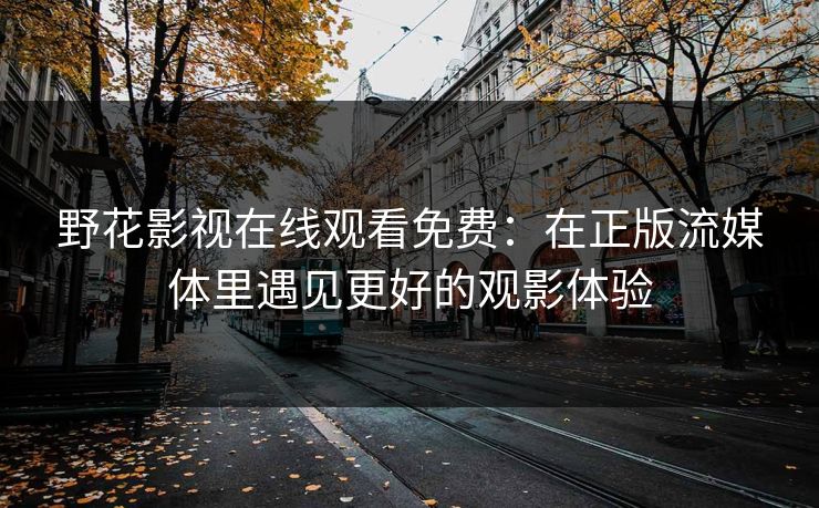 野花影视在线观看免费：在正版流媒体里遇见更好的观影体验