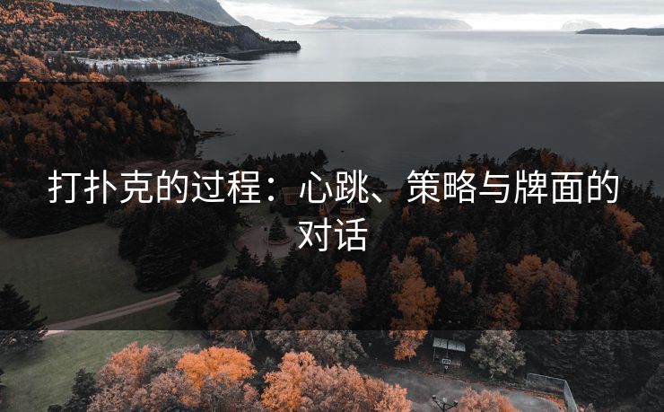 打扑克的过程：心跳、策略与牌面的对话