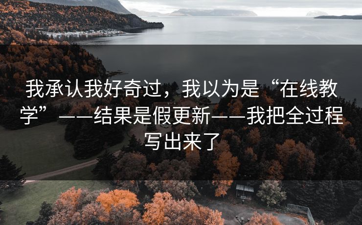 我承认我好奇过,我以为是“在线教学”——结果是假更新——我把全过程写出来了