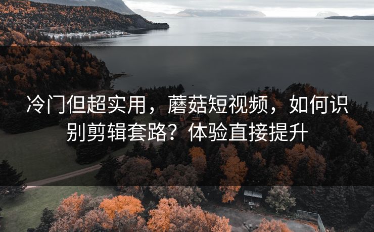 冷门但超实用，蘑菇短视频，如何识别剪辑套路？体验直接提升